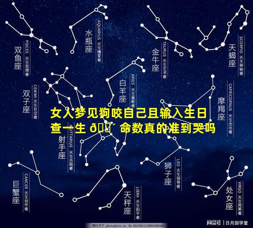 女人梦见狗咬自己且输入生日查一生 🌴 命数真的准到哭吗